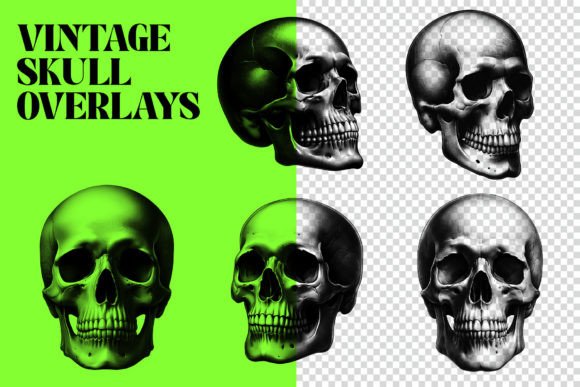 Download Vintage Skull Overlays - Vintage Collection